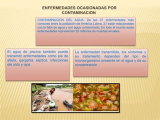 ENFERMEDADES OCASIONADAS POR
CONTAMINACION
CONTAMINACION DEL AGUA: De las 37 enfermedades más
comunes entre la población de América Latina, 21 están relacionadas
con la falta de agua y con agua contaminada. En todo el mundo estas
enfermedades representan 25 millones de muertes anuales.
El agua de piscina también puede
transmitir enfermedades como pie de
atleta, garganta séptica, infecciones
del oído y ojos
La enfermedad transmitida, los síntomas y
su tratamiento dependen del tipo de
microorganismo presente en el agua y de su
concentración
 