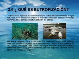 2.6 ¿ QUÉ ES EUTROFIZACIÓN? 
Eutrofización significa enriquecimiento por nutrientes de corrientes y lagos 
naturales. Este enriquecimiento es a menudo aumentado por las actividades 
humanas, tales como agricultura (adición del abono). 
Causas y peligros: Es el aumento en los niveles del nitrato y del fosfato y 
tiene una influencia negativa en la vida acuática. Debido al enriquecimiento, 
las plantas del agua tales como las algas crecerán extensivamente y 
absorberá menos luz y ciertas bacterias aerobias llegarán a ser más activas, 
agotan los niveles del oxígeno. 
 