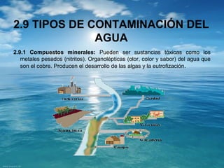 2.9 TIPOS DE CONTAMINACIÓN DEL 
AGUA 
2.9.1 Compuestos minerales: Pueden ser sustancias tóxicas como los 
metales pesados (nitritos). Organolépticas (olor, color y sabor) del agua que 
son el cobre. Producen el desarrollo de las algas y la eutrofización. 
 