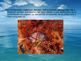 2.9.2 Compuestos orgánicos (fenoles, hidrocarburos, detergentes, etc.) : 
Producen también eutrofización del agua debido a una disminución de la 
concentración de oxigeno, ya que permite el desarrollo de los seres vivos y 
éstos consumen O2. 
 