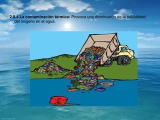 2.9.4 La contaminación térmica: Provoca una disminución de la solubilidad 
del oxigeno en el agua. 
 