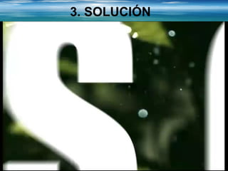 3. SOLUCIÓN 
 