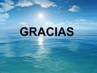 GRACIAS 
