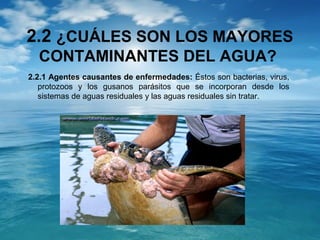 2.2 ¿CUÁLES SON LOS MAYORES 
CONTAMINANTES DEL AGUA? 
2.2.1 Agentes causantes de enfermedades: Éstos son bacterias, virus, 
protozoos y los gusanos parásitos que se incorporan desde los 
sistemas de aguas residuales y las aguas residuales sin tratar. 
 