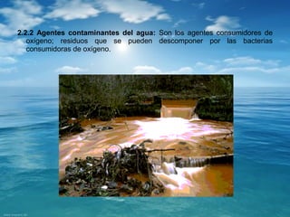 2.2.2 Agentes contaminantes del agua: Son los agentes consumidores de 
oxígeno; residuos que se pueden descomponer por las bacterias 
consumidoras de oxígeno. 
 