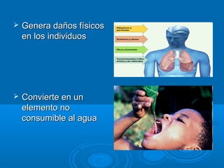  GGeenneerraa ddaaññooss ffííssiiccooss 
eenn llooss iinnddiivviidduuooss 
 CCoonnvviieerrttee eenn uunn 
eelleemmeennttoo nnoo 
ccoonnssuummiibbllee aall aagguuaa 
 