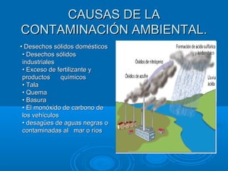 CCAAUUSSAASS DDEE LLAA 
CCOONNTTAAMMIINNAACCIIÓÓNN AAMMBBIIEENNTTAALL.. 
•• DDeesseecchhooss ssóólliiddooss ddoommééssttiiccooss 
•• DDeesseecchhooss ssóólliiddooss 
iinndduussttrriiaalleess 
•• EExxcceessoo ddee ffeerrttiilliizzaannttee yy 
pprroodduuccttooss qquuíímmiiccooss 
•• TTaallaa 
•• QQuueemmaa 
•• BBaassuurraa 
•• EEll mmoonnóóxxiiddoo ddee ccaarrbboonnoo ddee 
llooss vveehhííccuullooss 
•• ddeessaaggüüeess ddee aagguuaass nneeggrraass oo 
ccoonnttaammiinnaaddaass aall mmaarr oo rrííooss 
 