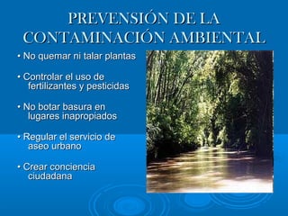 PPRREEVVEENNSSIIÓÓNN DDEE LLAA 
CCOONNTTAAMMIINNAACCIIÓÓNN AAMMBBIIEENNTTAALL 
•• NNoo qquueemmaarr nnii ttaallaarr ppllaannttaass 
•• CCoonnttrroollaarr eell uussoo ddee 
ffeerrttiilliizzaanntteess yy ppeessttiicciiddaass 
•• NNoo bboottaarr bbaassuurraa eenn 
lluuggaarreess iinnaapprrooppiiaaddooss 
•• RReegguullaarr eell sseerrvviicciioo ddee 
aasseeoo uurrbbaannoo 
•• CCrreeaarr ccoonncciieenncciiaa 
cciiuuddaaddaannaa 
 