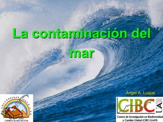 La contaminación del
mar
Ángel A. Luque
 
