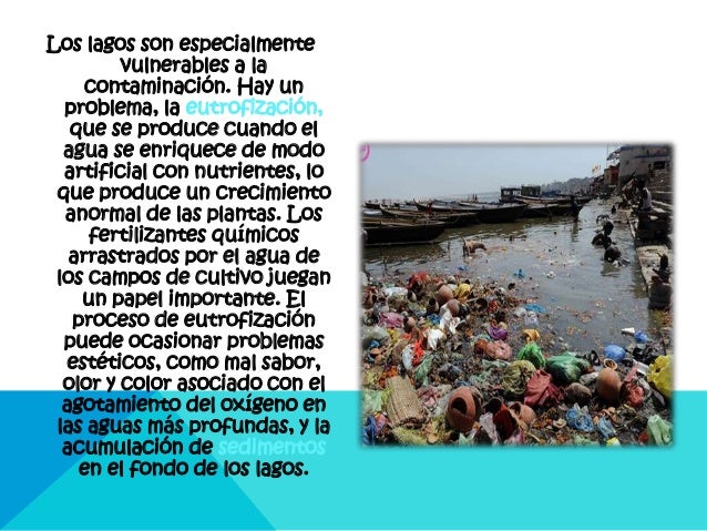 Contaminacion De Los Rios Causas Consecuencias Y Soluciones – eroppa