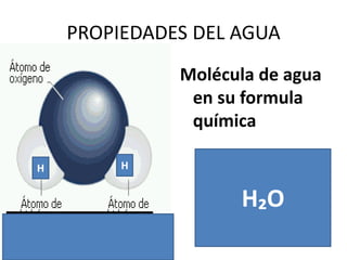 PROPIEDADES DEL AGUA
Molécula de agua
en su formula
química
H₂O
H H
 