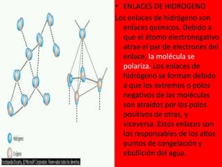 • ENLACES DE HIDROGENO
Los enlaces de hidrógeno son
enlaces químicos. Debido a
que el átomo electronegativo
atrae el par de electrones del
enlace, la molécula se
polariza. Los enlaces de
hidrógeno se forman debido
a que los extremos o polos
negativos de las moléculas
son atraídos por los polos
positivos de otras, y
viceversa. Estos enlaces son
los responsables de los altos
puntos de congelación y
ebullición del agua.
 