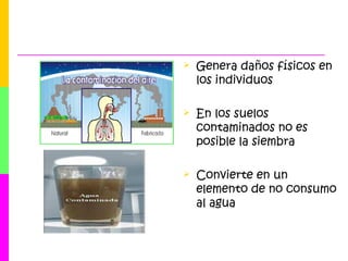  Genera daños físicos en
los individuos
 En los suelos
contaminados no es
posible la siembra
 Convierte en un
elemento de no consumo
al agua
 
