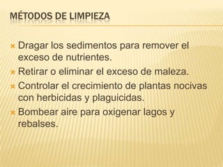 MÉTODOS DE LIMPIEZA
Dragar los sedimentos para remover el
exceso de nutrientes.
Retirar o eliminar el exceso de maleza.
Controlar el crecimiento de plantas nocivas
con herbicidas y plaguicidas.
Bombear aire para oxigenar lagos y
rebalses.
