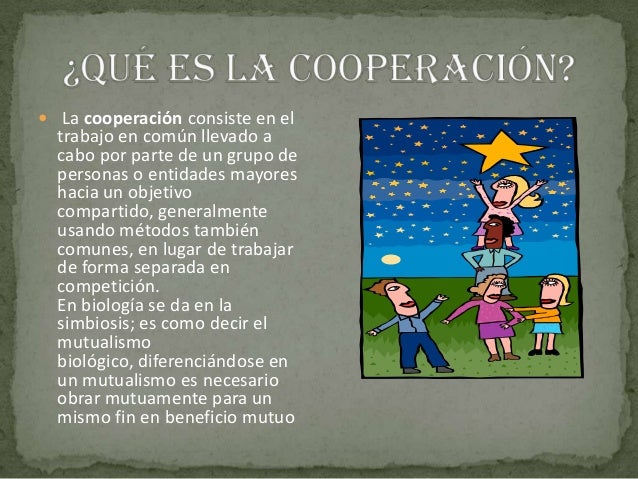 La cooperación taty oplv 2011