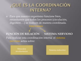    Para que nuestro organismo funcione bien,
    necesitamos que todos los procesos (circulación,
    digestión….) se rea...