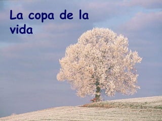 La copa de la
vida
 