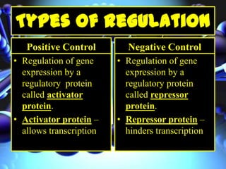 Positive Control
• Regulation of gene
expression by a
regulatory protein
called activator
protein.
• Activator protein –
allows transcription
Negative Control
• Regulation of gene
expression by a
regulatory protein
called repressor
protein.
• Repressor protein –
hinders transcription
 