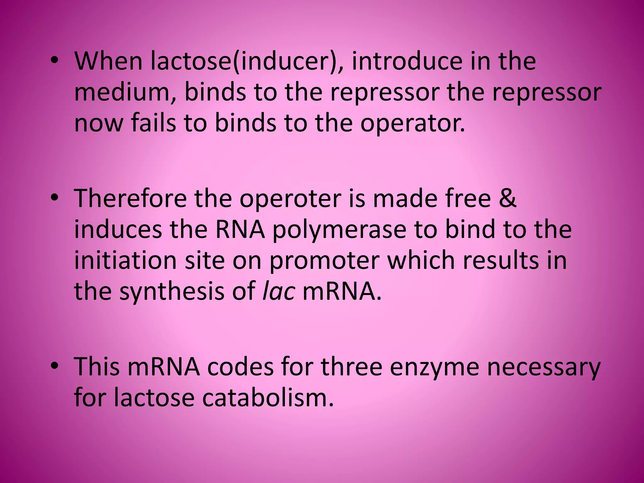 • When lactose(inducer), introduce in the
medium, binds to the repressor the repressor
now fails to binds to the operator.
• Therefore the operoter is made free &
induces the RNA polymerase to bind to the
initiation site on promoter which results in
the synthesis of lac mRNA.
• This mRNA codes for three enzyme necessary
for lactose catabolism.
 