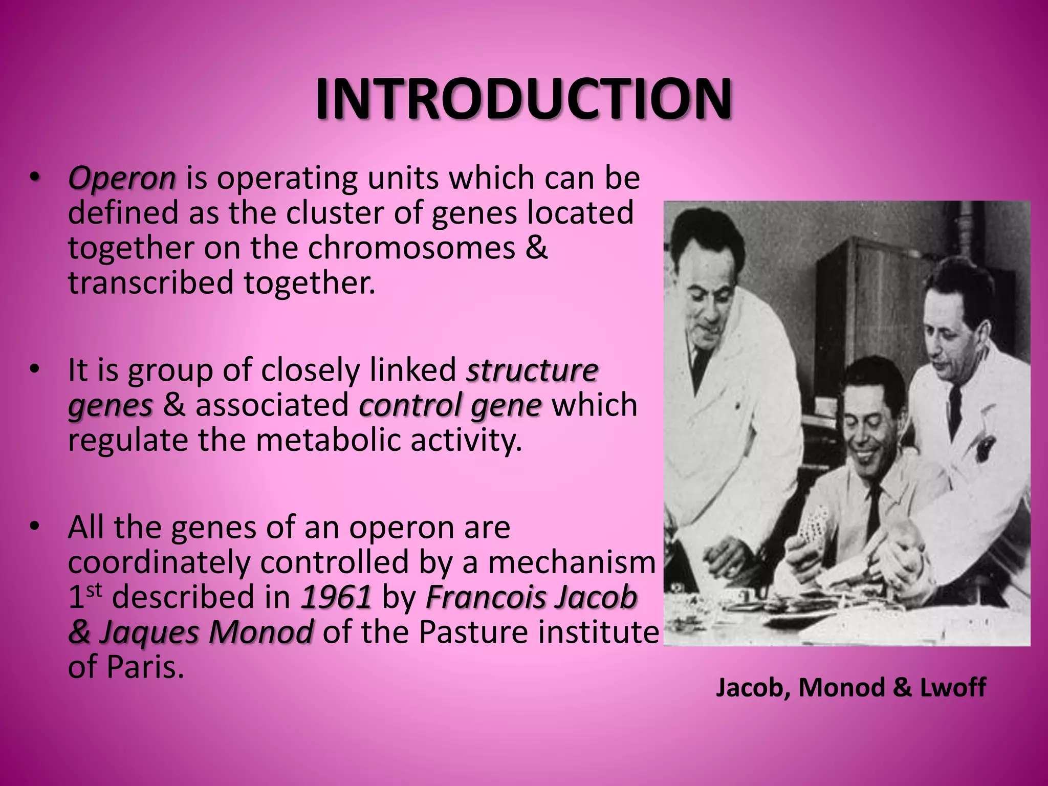 INTRODUCTION
• Operon is operating units which can be
defined as the cluster of genes located
together on the chromosomes &
transcribed together.
• It is group of closely linked structure
genes & associated control gene which
regulate the metabolic activity.
• All the genes of an operon are
coordinately controlled by a mechanism
1st described in 1961 by Francois Jacob
& Jaques Monod of the Pasture institute
of Paris.
Jacob, Monod & Lwoff
 