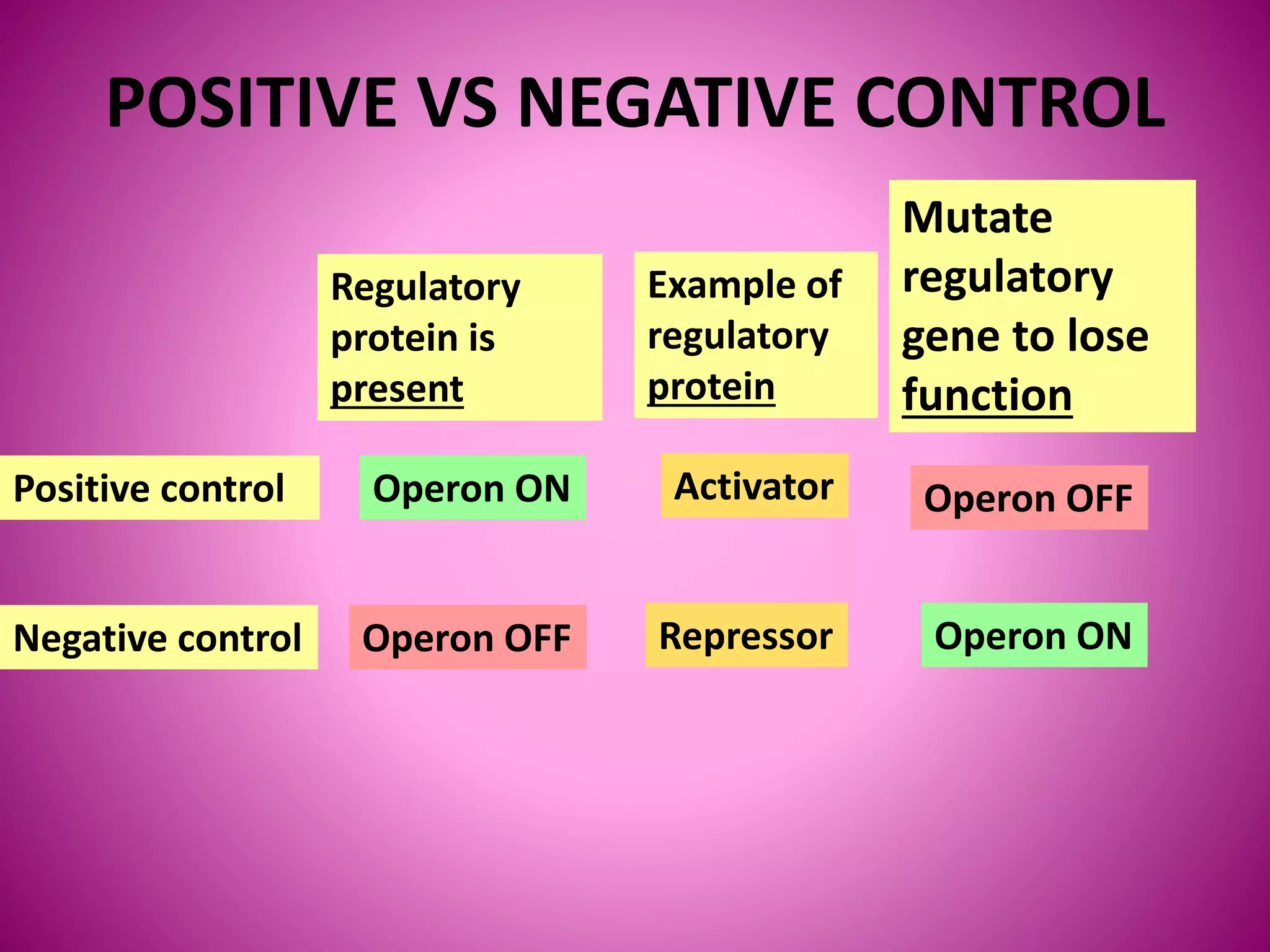 POSITIVE VS NEGATIVE CONTROL
Regulatory
protein is
present
Mutate
regulatory
gene to lose
function
Positive control
Negative control
Example of
regulatory
protein
Operon ON
Operon OFF
Operon OFF
Operon ON
Activator
Repressor
 