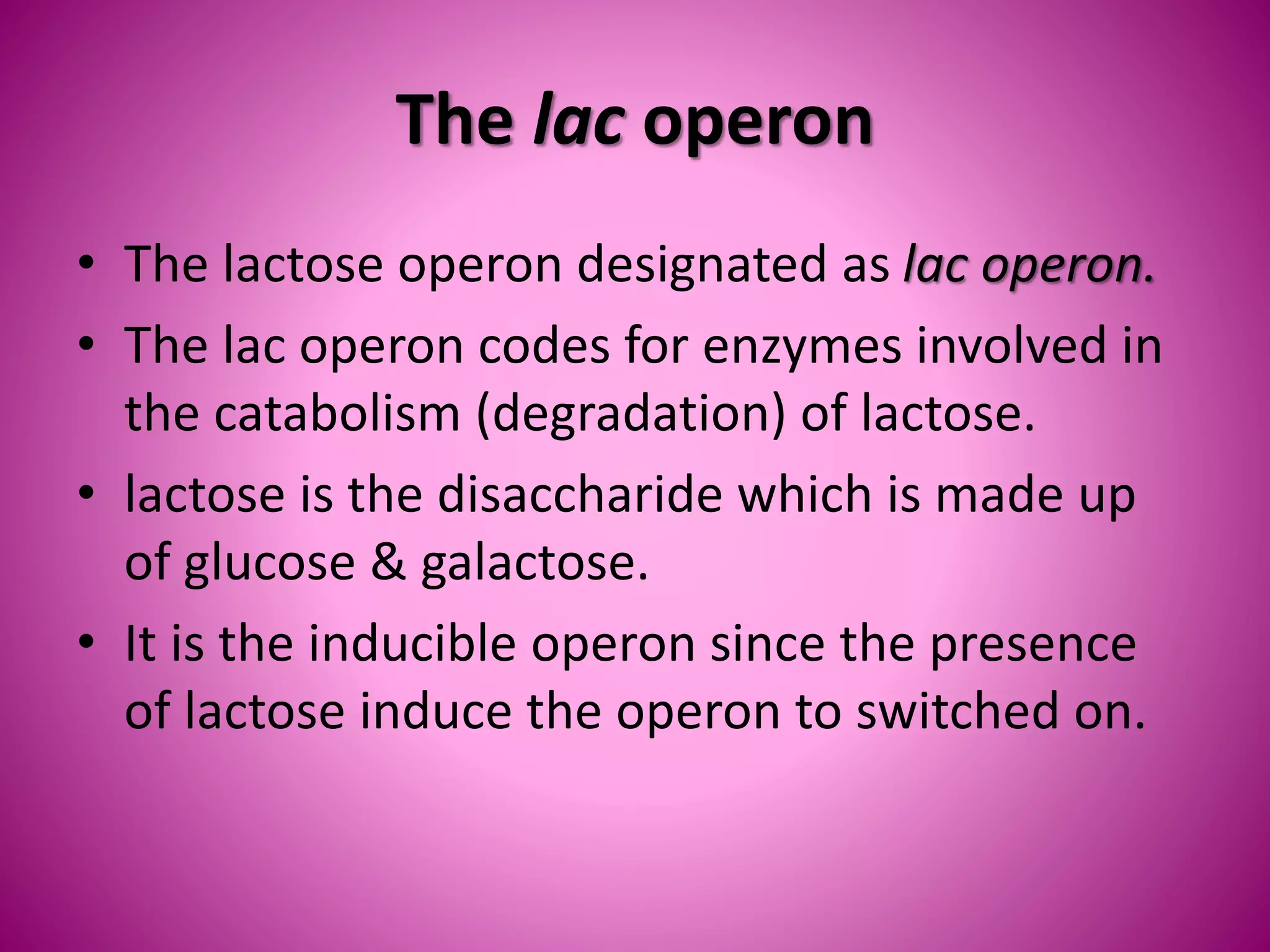 The lac operon
• The lactose operon designated as lac operon.
• The lac operon codes for enzymes involved in
the catabolism (degradation) of lactose.
• lactose is the disaccharide which is made up
of glucose & galactose.
• It is the inducible operon since the presence
of lactose induce the operon to switched on.
 