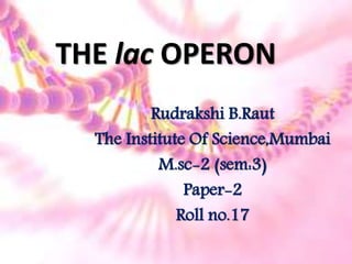 THE lac OPERON
Rudrakshi B.Raut
The Institute Of Science,Mumbai
M.sc-2 (sem:3)
Paper-2
Roll no.17
 