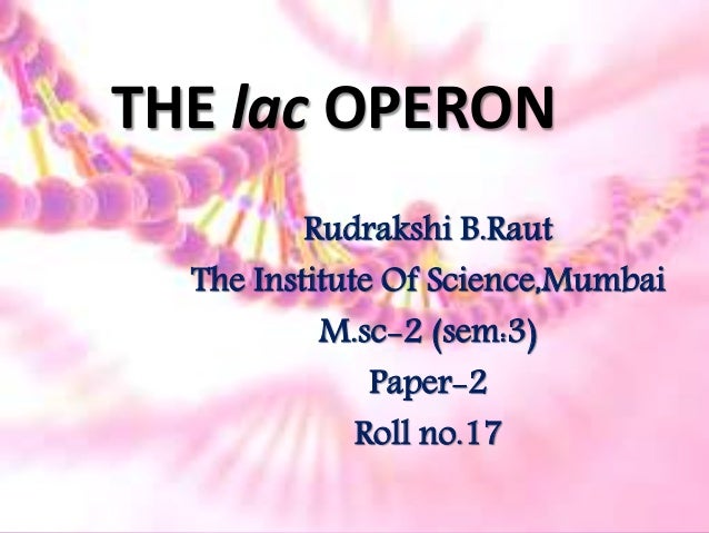 THE lac OPERON
Rudrakshi B.Raut
The Institute Of Science,Mumbai
M.sc-2 (sem:3)
Paper-2
Roll no.17