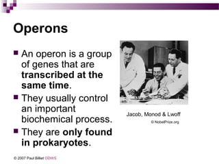 Operons
 An operon is a group
of genes that are
transcribed at the
same time.
 They usually control
an important
biochemical process.
 They are only found
in prokaryotes.
© NobelPrize.org
Jacob, Monod & Lwoff
© 2007 Paul Billiet ODWS
 