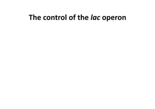 The control of the lac operon
 
