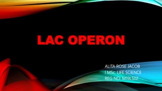 LAC OPERON
ALITA ROSE JACOB
I MSc. LIFE SCIENCE
REG NO: M19LS02
 