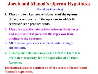 lac Operon.pdf