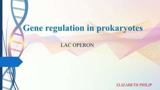 Gene regulation in prokaryotes
LAC OPERON
ELIZABETH PHILIP
 