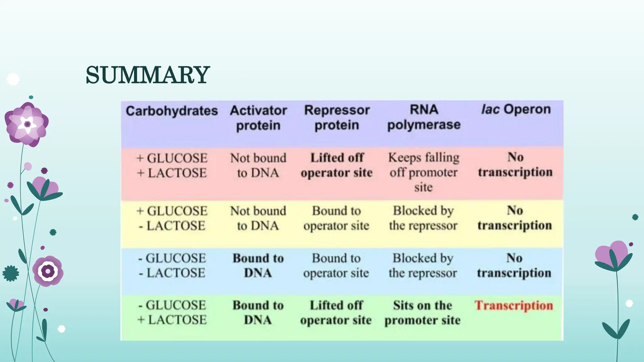 lac Operon.ppt-2.pptxThe classic example | PPT