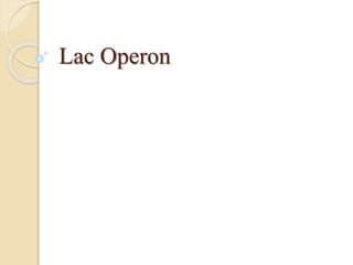 Lac Operon
 