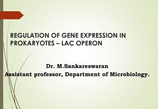 REGULATION OF GENE EXPRESSION IN
PROKARYOTES – LAC OPERON
Dr. M.Sankareswaran
Assistant professor, Department of Microbiology.
 