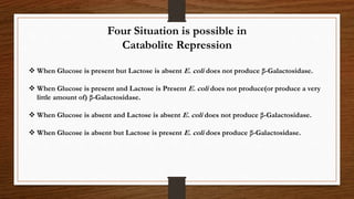Four Situation is possible in
Catabolite Repression
 When Glucose is present but Lactose is absent E. coli does not produce β-Galactosidase.
 When Glucose is present and Lactose is Present E. coli does not produce(or produce a very
little amount of) β-Galactosidase.
 When Glucose is absent and Lactose is absent E. coli does not produce β-Galactosidase.
 When Glucose is absent but Lactose is present E. coli does produce β-Galactosidase.
 