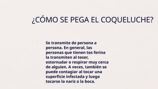 la coqueluche biologia.pptx..jhhhgfcbhg | PPTX