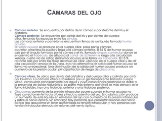 Cámaras del ojoCámara anterior. Se encuentra por detrás de la córnea y por delante del iris y el cristalino.Cámara posterior. Se encuentra por detrás del iris y por dentro del cuerpo ciliar, llenando los espacios entre las zónulas.Las cámaras anterior y posterior se encuentran llenas de un líquido llamado humor acuoso.El humor acuoso se produce en el cuerpo ciliar, pasa por la cámara posterior, atraviesa la pupila y llega a la cámara anterior. El 85 % del humor acuoso sale por el ángulo formado por la córnea y el iris, llamado ángulo camerulardonde se encuentra el trabéculo, de allí pasa al canal  de Schlemmy luego a la circulación venosa, a esta vía de salida del humor acuoso se le llama vía trabecular. El 15 % restante sale por entre las fibras del músculo ciliar, ubicado en el cuerpo ciliar y de allí a la circulación venosa de la úvea, esta vía alternativa de salida del humor acuoso se llama vía uveoescleral. Una disminución de la salida del humor acuoso produce un aumento de la presión ocular, principal factor de riesgo de glaucoma.Cámara vítrea. Se ubica por detrás del cristalino y del cuerpo ciliar y colinda por atrás por la retina. La cámara vítrea está rellena por un gel transparente llamado cuerpo vítreo, compuesto principalmente por agua y cuya consistencia gelatinosa se debe a la presencia de ácido hialurónico. La parte más externa del vítreo es más densa y se le llama hialoides, hay una hialoides anterior y una hialoides posterior.Glaucoma: aumento de la presión intraocular ocurre cuando el humor acuoso no fluye correctamente hacia afuera y hacia a adentro del ojo. Esta obstrucción produce un aumento de este líquido en el interior del ojo con aumento de la presión intraocular y sobre el nervio óptico. Sin embargo hay personas que presentan lesiones del nervio óptico tipo glaucoma sin tener aumentada la tensión intraocular, y hay personas con tensión intraocular elevada sin lesiones del nervio óptico.