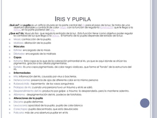 Iris y pupila¿Qué es? La pupila es un orificio situado en la parte central del iris para el paso de la luz. Se trata de una abertura dilatable y contráctil de color negro con la función de regular la iluminación que le llega a la retina, en la parte posterior del ojo.¿Que es?iris: Musculo liso  que regula la entrada de la luz . Esta función tiene como objetivo poder regular la cantidad de luz que llega a la retina.  El tamaño de la pupila depende del estado de la luz:Miosis: contracción de la pupila.Midriasis: dilatación de la pupilaMúsculosEsfínter: encargado de la miosisDilatador: encargado de la midriasisCapasEstroma: Esta capa es la que da la coloración primordial al iris, ya que es aquí donde se sitúan los pigmentos, gracias a las células pigmentarias.Epitelio: Es una capa pigmentada, de color negro violáceo, que forma el "fondo" de la estructura del iris.EnfermedadesIritis: inflamación del iris, causado por virus o bacterias.Heterocromia: presencia de ojos de diferente color en la misma personaRubeosis iridis : tapamiento  de los vasos sanguíneosProlapso de iris: cuando una persona tuvo un trauma y el iris se salió.Desprendimiento del iris: producto por golpe  o trauma  lo desprendería, pero lo mantiene adentro.Albinismo:  despigmentación del iris, padece de fotofobia.Alteraciones de la pupilaDiscoria: pupila deformesLeucocoria: opacidad de la pupila, pupila de color blancoCorectopia: pupila descentrada, que esta desubicadaPolicoria: más de una abertura pupilar en el iris