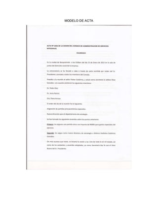 MODELO DE ACTA