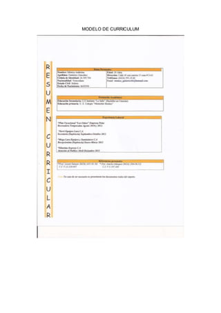 MODELO DE CURRICULUM
 