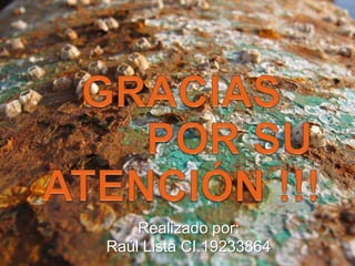 Realizado por:
Raúl Lista CI.19233864
 