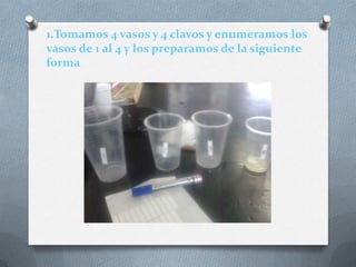 1.Tomamos 4 vasos y 4 clavos y enumeramos los
vasos de 1 al 4 y los preparamos de la siguiente
forma
 