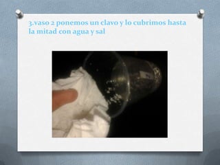 3.vaso 2 ponemos un clavo y lo cubrimos hasta
la mitad con agua y sal
 