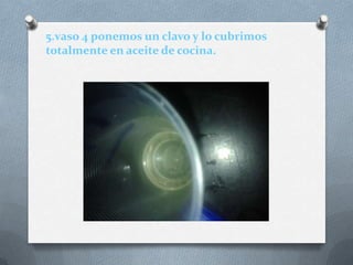 5.vaso 4 ponemos un clavo y lo cubrimos
totalmente en aceite de cocina.
 