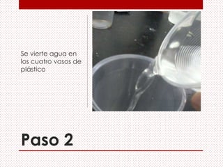 Paso 2
Se vierte agua en
los cuatro vasos de
plástico
 