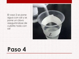 Paso 4
El vaso 2 se pone
agua con sal y se
pone un clavo
asegurándose de
cubrirlo todo con
sal
 