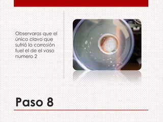 Paso 8
Observaras que el
único clavo que
sufrió la corrosión
fuel el de el vaso
numero 2
 