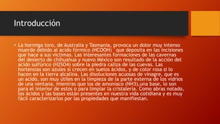 Introducción
• La hormiga toro, de Australia y Tasmania, provoca un dolor muy intenso
muerde debido al acido fórmico (HCOOH) `que deposita en las incisiones
que hace a sus victimas. Las interesantes formaciones de las cavernas
del desierto de chihuahua y nuevo México son resultado de la acción del
acido sulfúrico (H2SO4) sobre la piedra caliza de las cuevas. Las
hortensias son azules si crecen en suelos ácidos, y de color rosa si lo
hacen en la tierra alcalina. Las disoluciones acuosas de vinagre, que es
un acido, son muy útiles en la limpieza de la parte externa de los vidrios
de una ventana, mientras que los de amoniaco (NH3),una base, lo son
para el interior de estos o para limpiar la cristalería. Como abras notado,
los ácidos y las bases están presentes en nuestra vida cotidiana y es muy
fácil caracterizarlos por las propiedades que manifiestan.
 